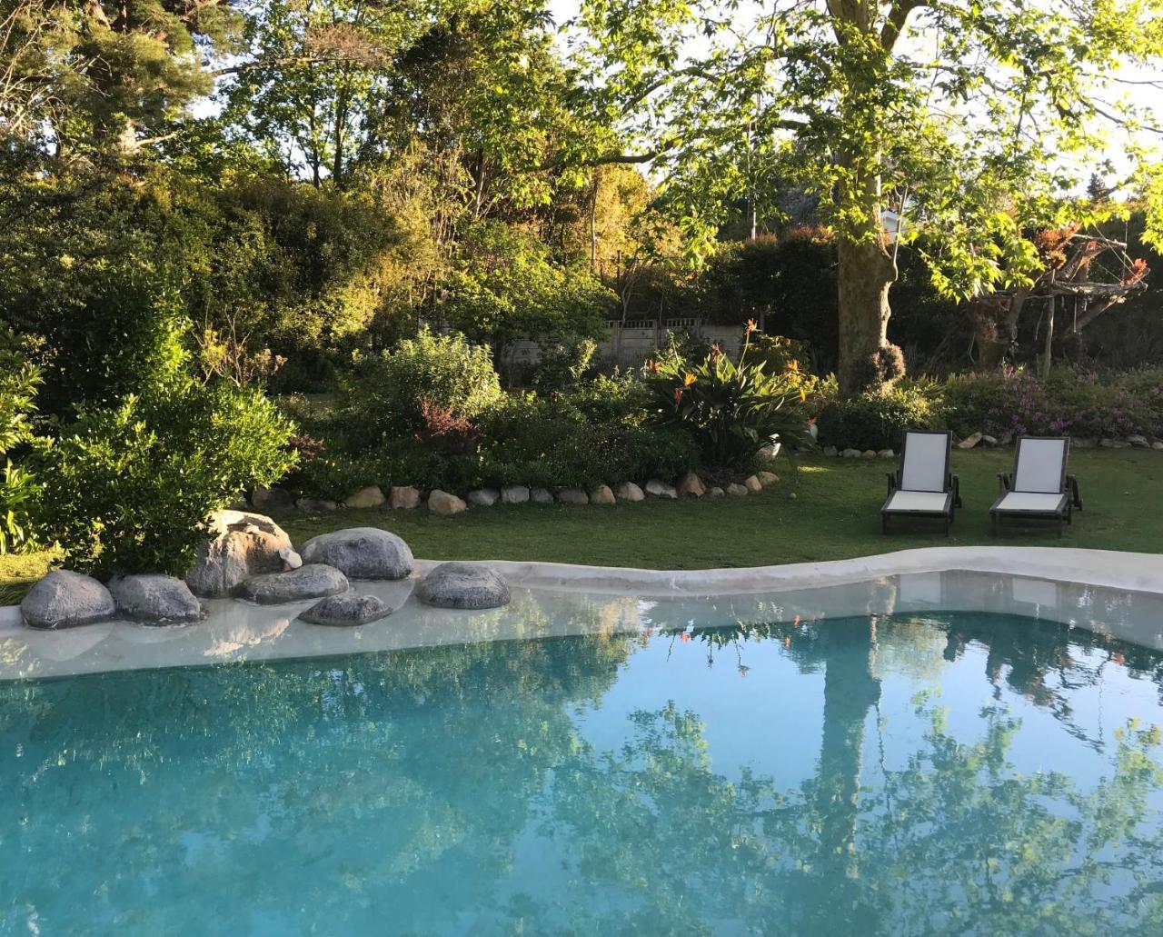Beluga Of Constantia Guest House Κέιπ Τάουν Εξωτερικό φωτογραφία