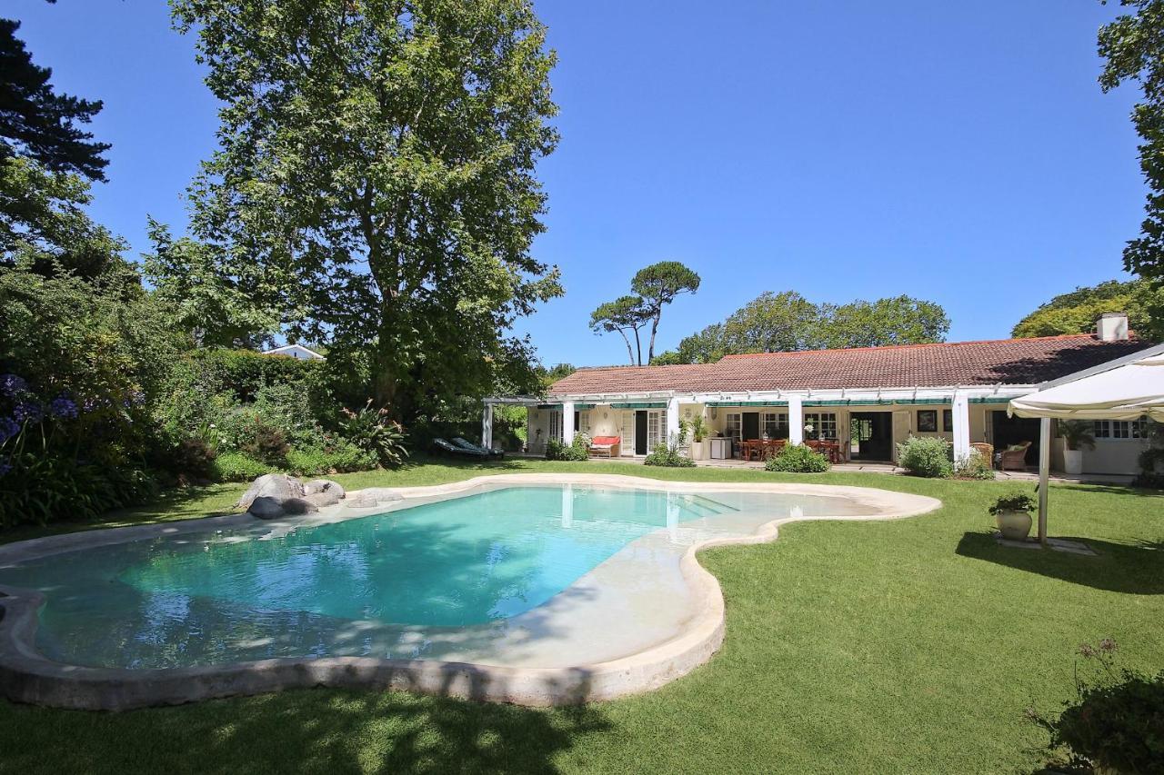 Beluga Of Constantia Guest House Κέιπ Τάουν Εξωτερικό φωτογραφία