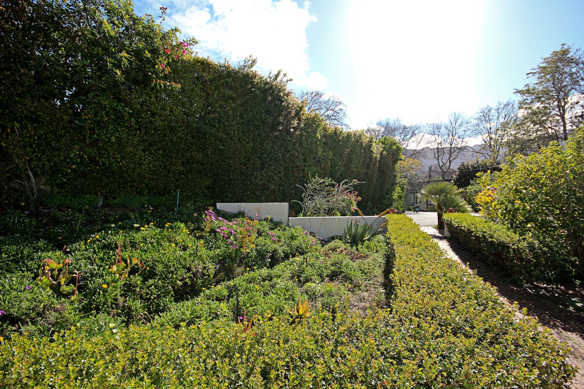 Beluga Of Constantia Guest House Κέιπ Τάουν Εξωτερικό φωτογραφία