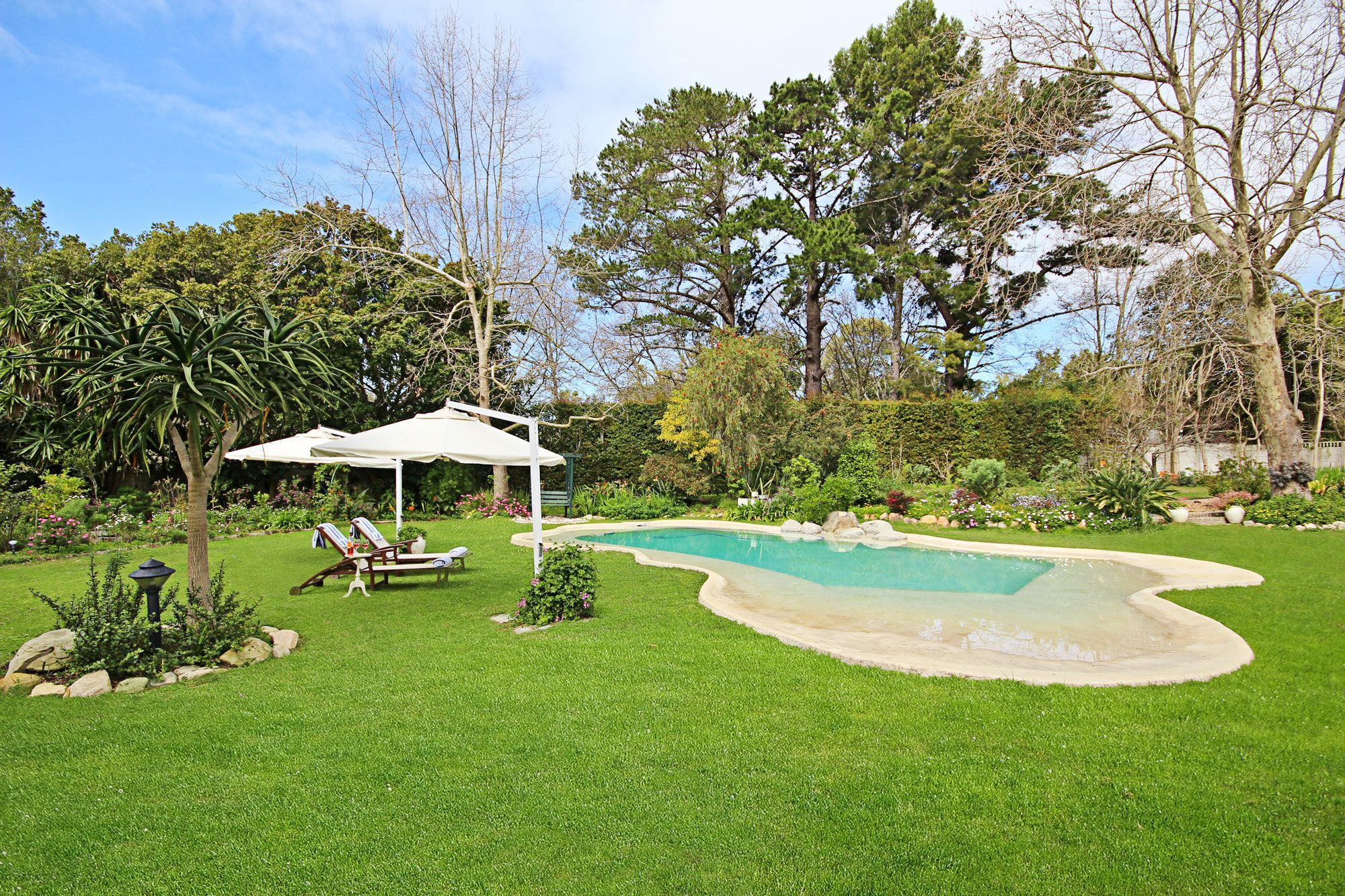 Beluga Of Constantia Guest House Κέιπ Τάουν Εξωτερικό φωτογραφία