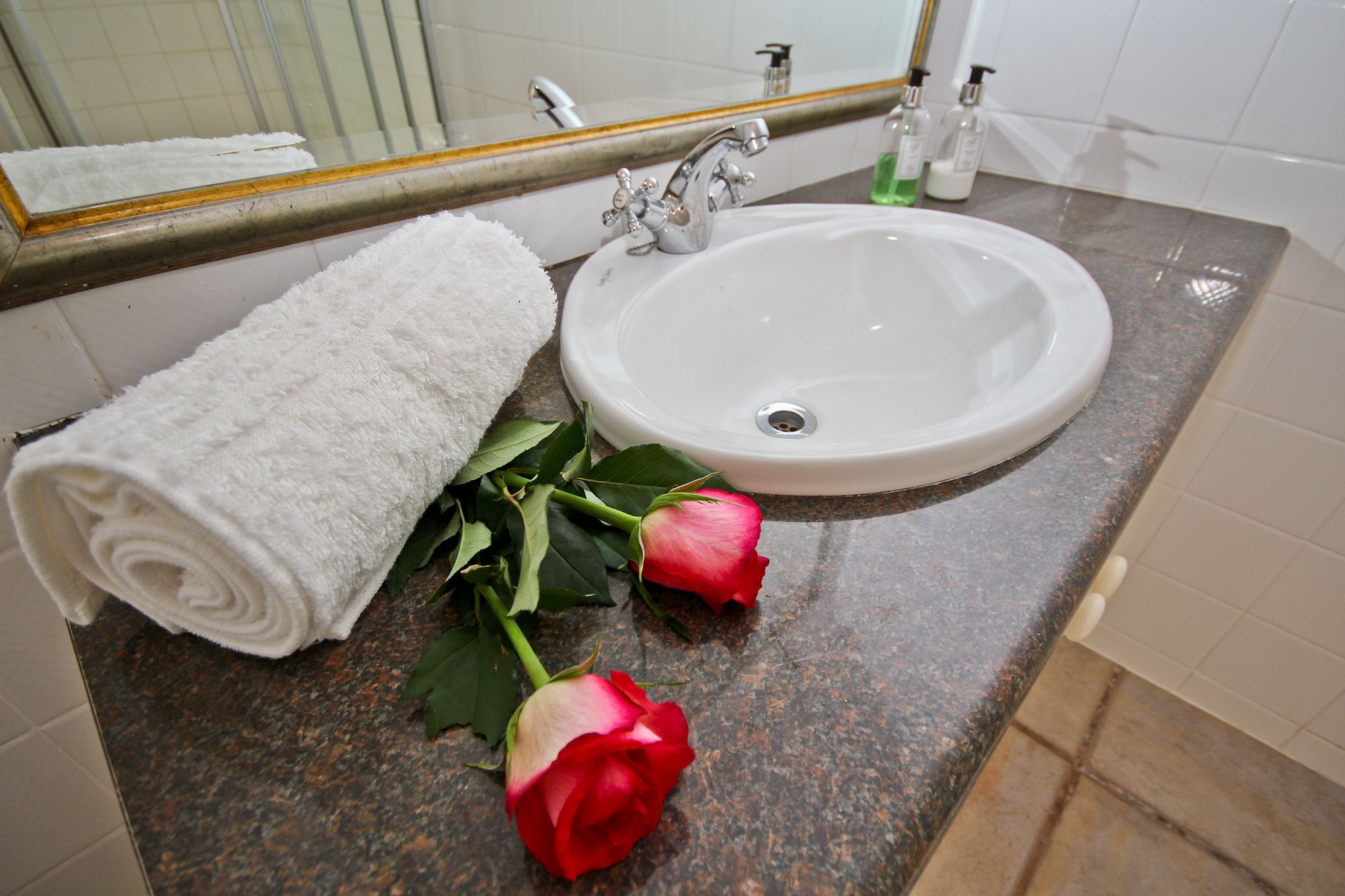 Beluga Of Constantia Guest House Κέιπ Τάουν Εξωτερικό φωτογραφία